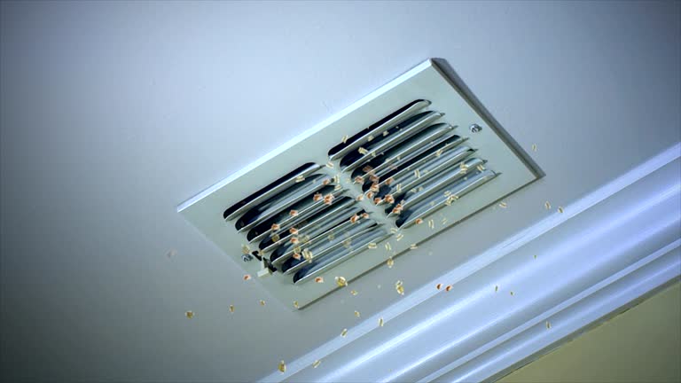 Best HVAC System Cleaning  in Alpine, NJ